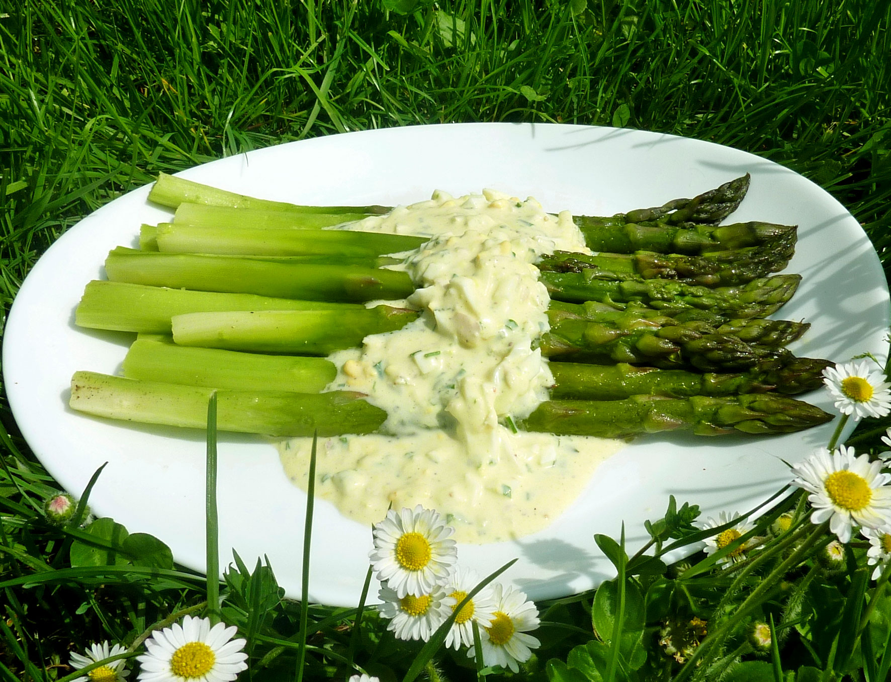 Spargel ‚grün‘ mit pikantem Eierdip – Schmeck den Süden